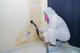 Why You Should Choose Our Mold Remediation Services in Harrison, NJ